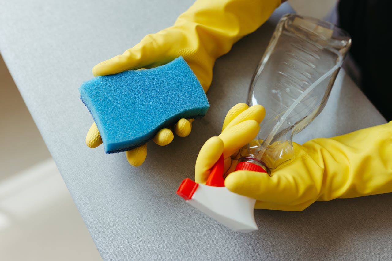 services-02 Close-up of hands in gloves holding a sponge and spray bottle for cleaning.